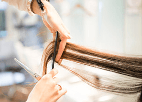 美容・健康部会