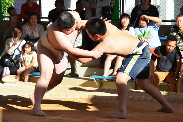 わんぱく相撲名古屋場所